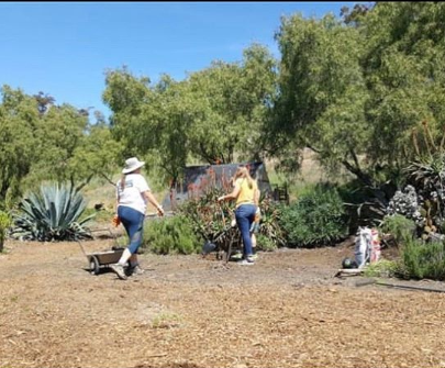 Two women in T-shirts and jeans work on a garden installation.