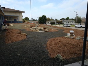LV sheet mulching 12