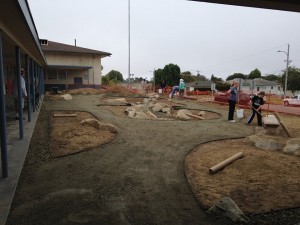 LV sheet mulching 4