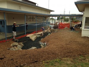 LV sheet mulching 5