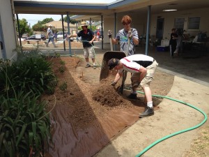 LV sheet mulching 8