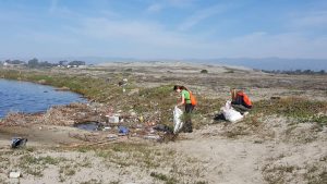 Volunteers clean up a particularly littered section of Ormond Beach.
